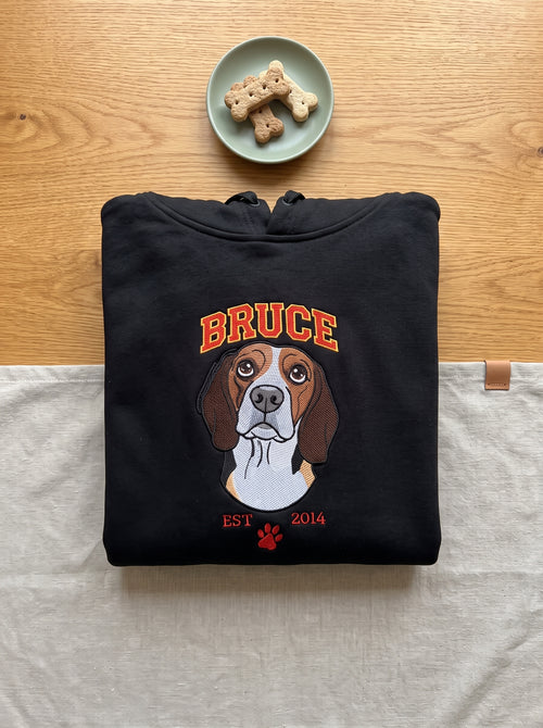 Sudadera  bordado grande central de estilo caricatura (Hoodie)