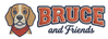 Bruce &amp; Friends - Inicio